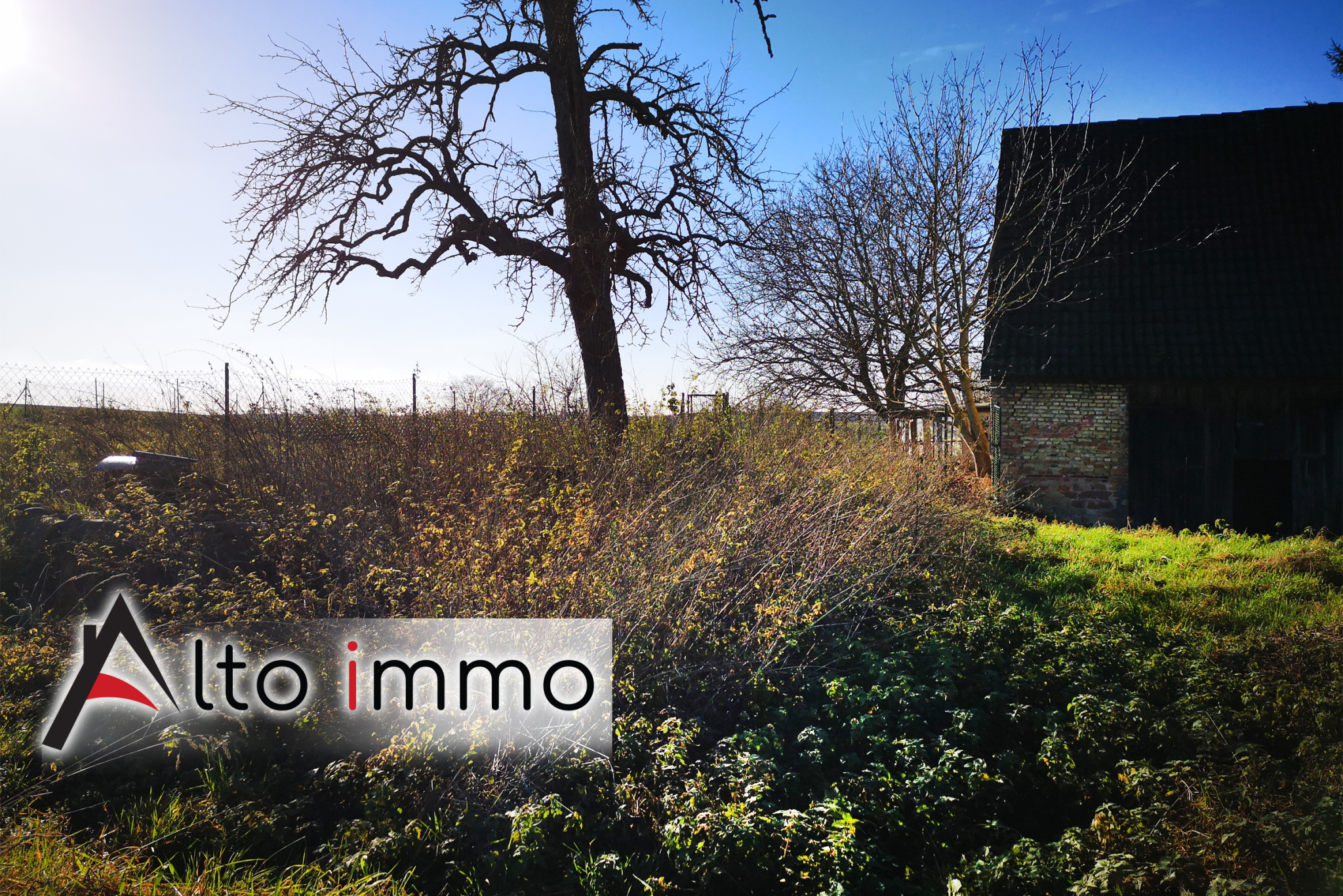 Agence immobilière de  Alto Immo