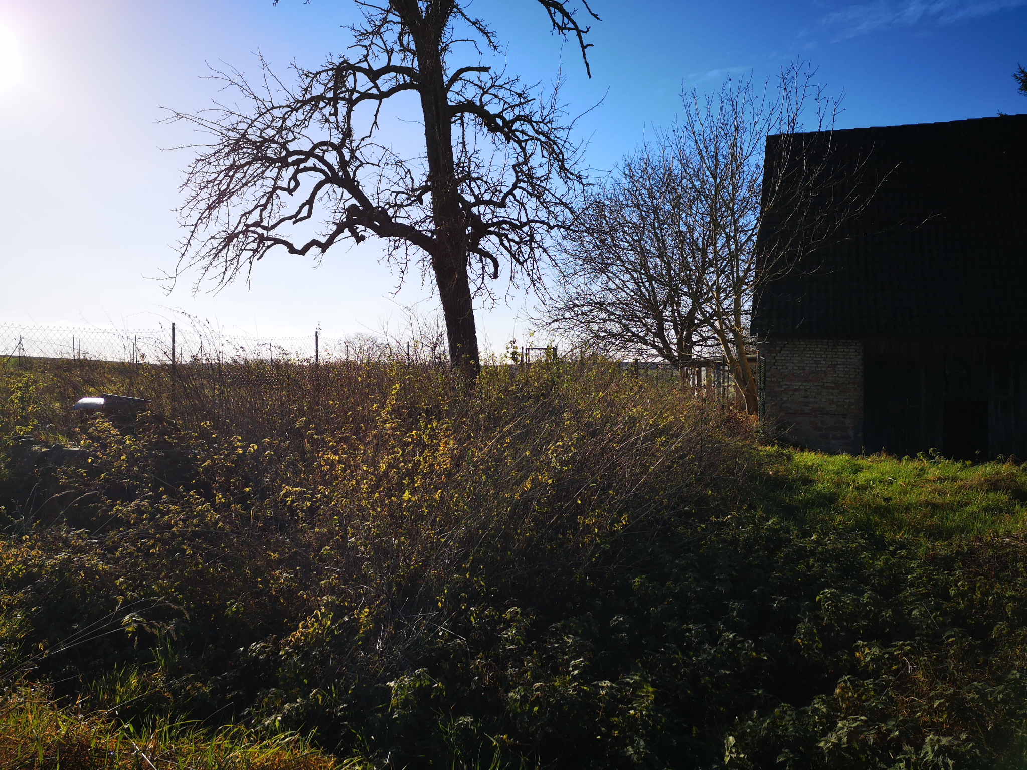 Agence immobilière de  Alto Immo