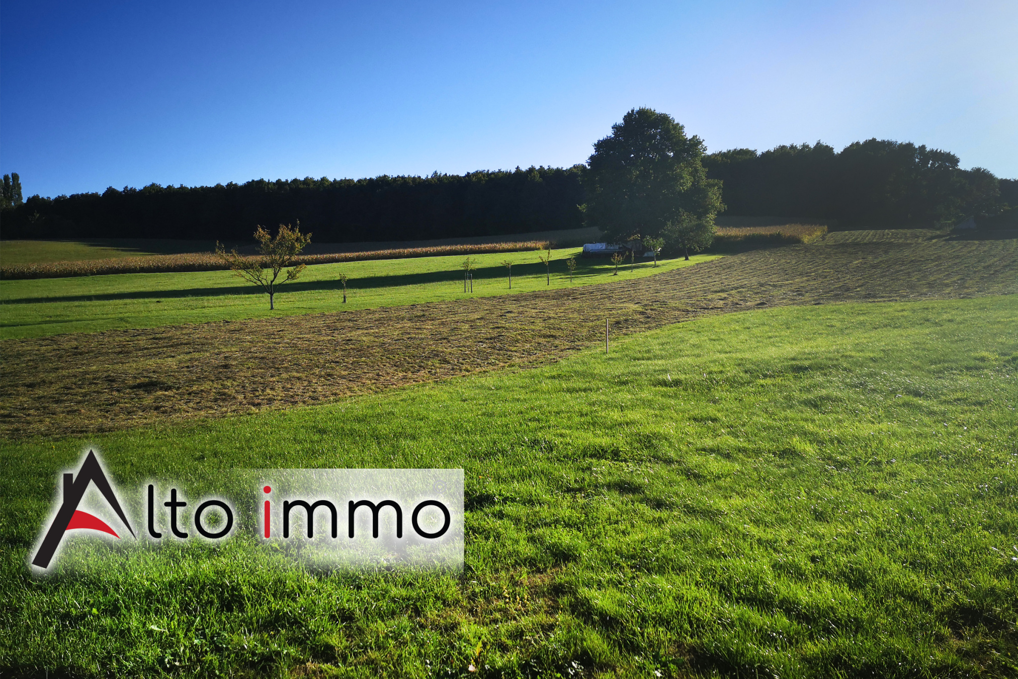 Agence immobilière de  Alto Immo