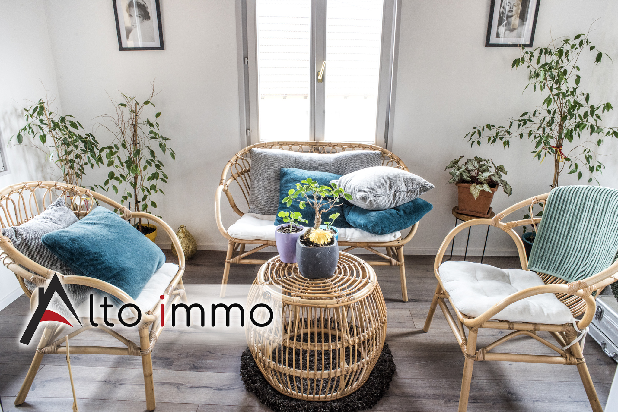 Agence immobilière de  Alto Immo