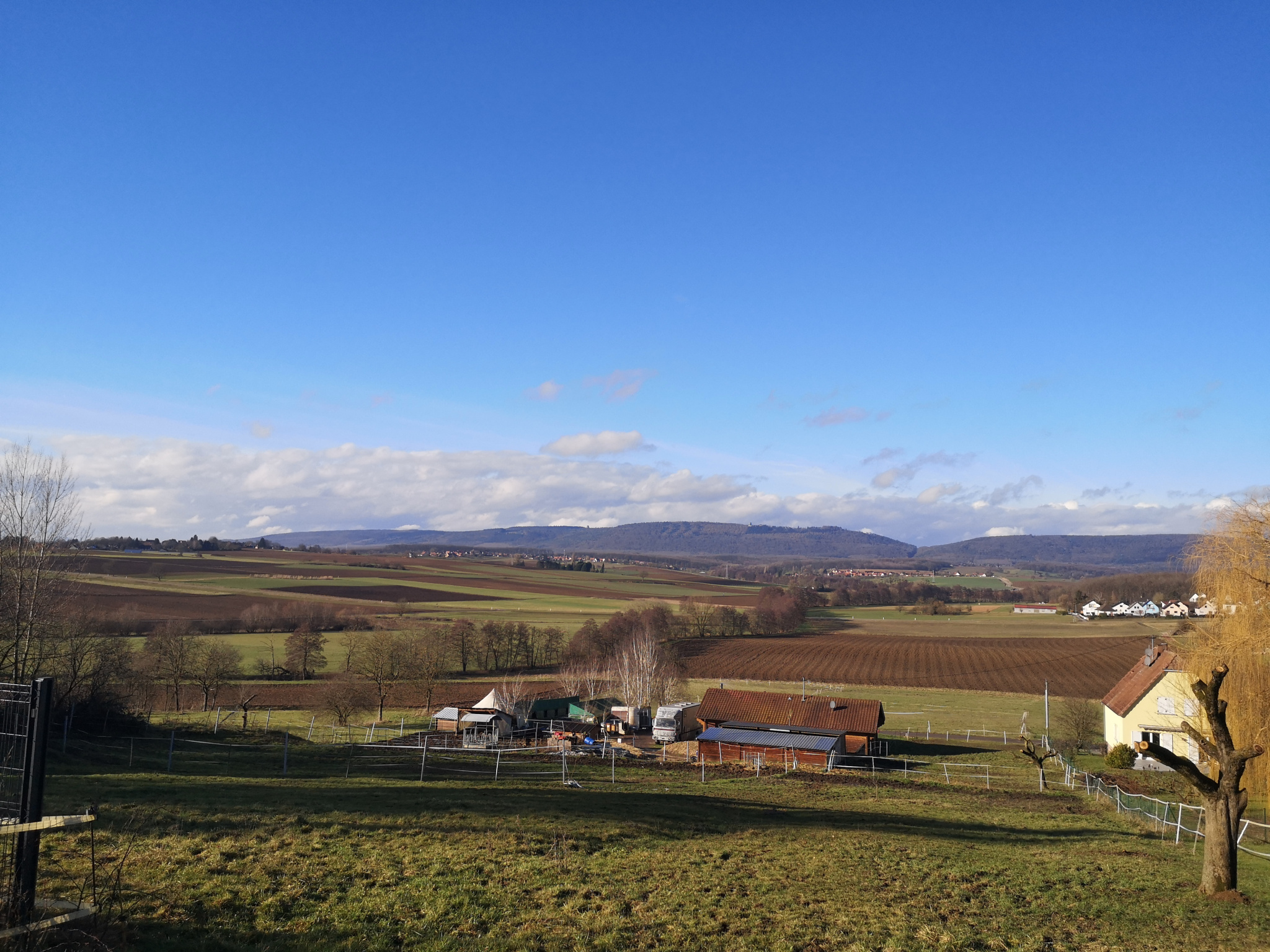 Agence immobilière de  Alto Immo