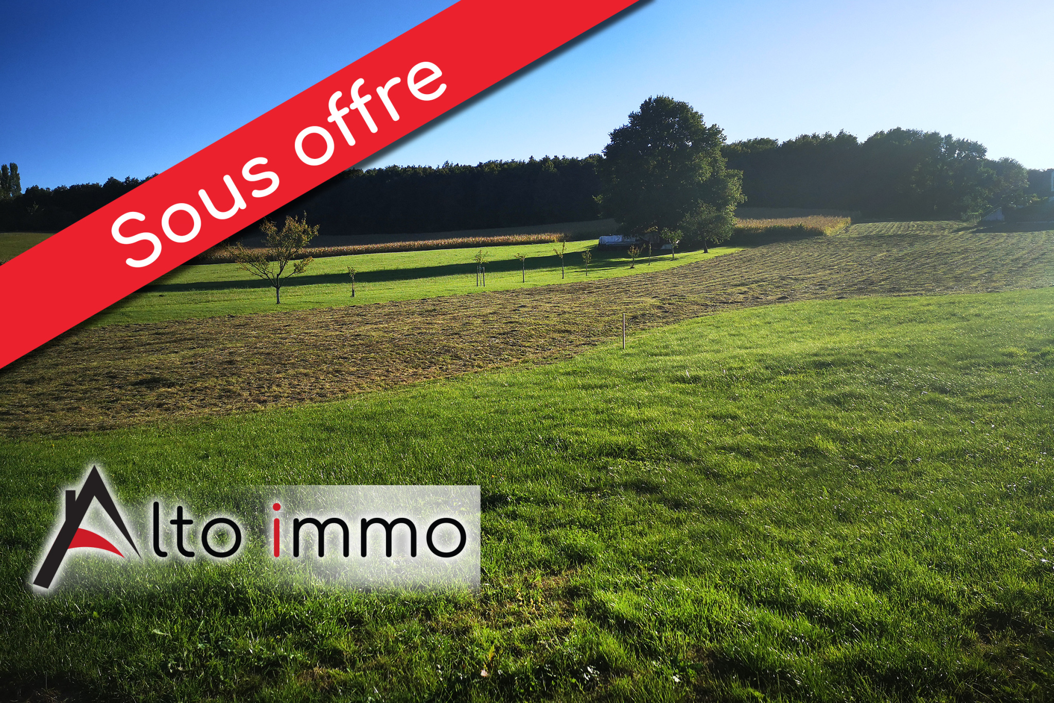 Agence immobilière de  Alto Immo