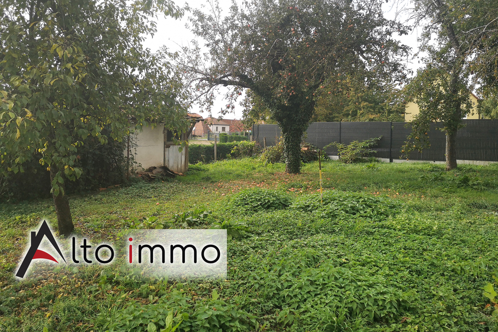 Agence immobilière de  Alto Immo